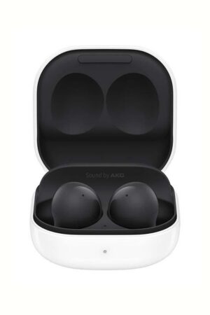 Galaxy Buds 2 Graphite